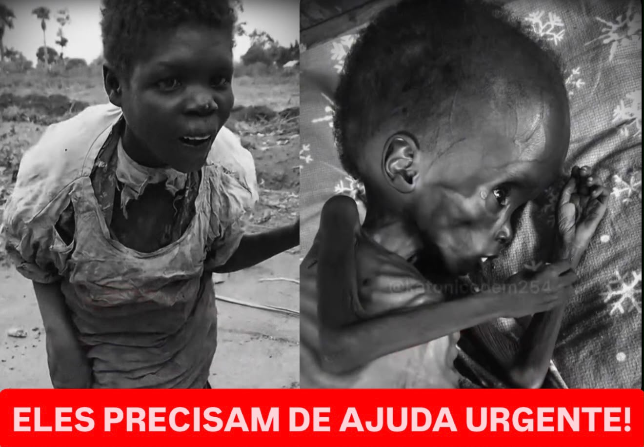 Ajude a colocar comida na mesa de crianças que enfrentam a fome em Moçambique